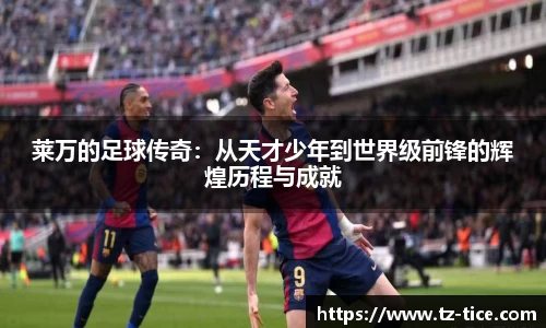 BB贝博平台